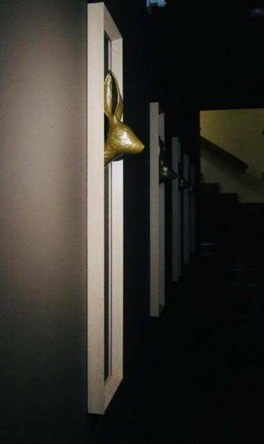 Casa Coelho Guesthouse 코임브라 외부 사진